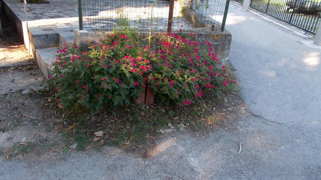 Guest House Accommodation Rupine Premantura Bagian luar foto