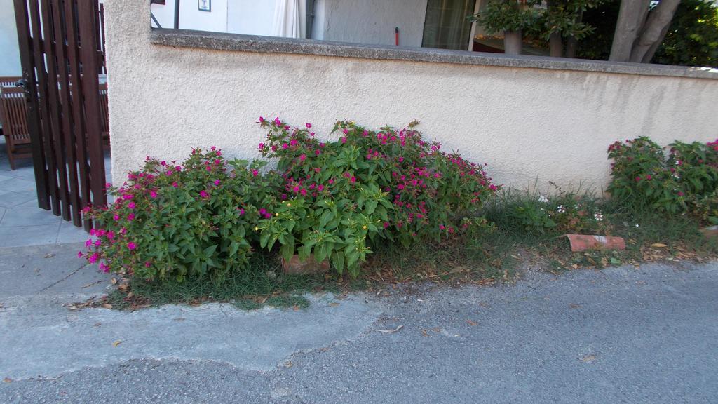 Guest House Accommodation Rupine Premantura Bagian luar foto